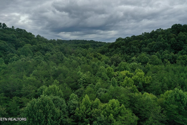 220 Milldale Rd, Dandridge, TN 37725