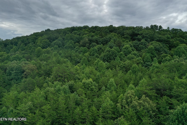 220 Milldale Rd, Dandridge, TN 37725