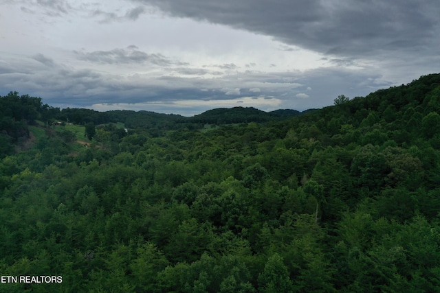 220 Milldale Rd, Dandridge, TN 37725