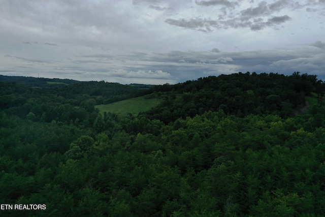 220 Milldale Rd, Dandridge, TN 37725