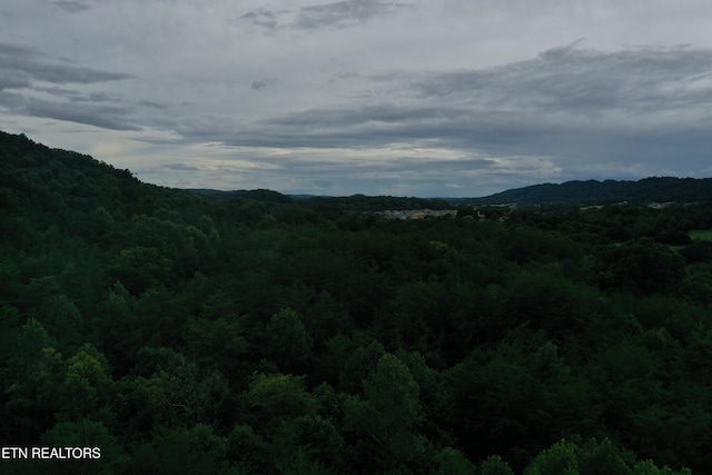 220 Milldale Rd, Dandridge, TN 37725
