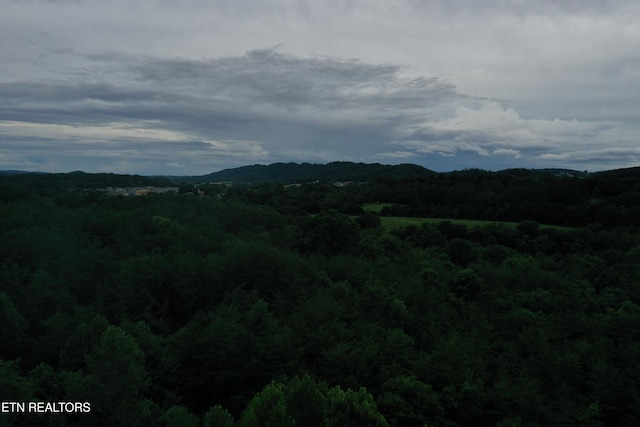 220 Milldale Rd, Dandridge, TN 37725