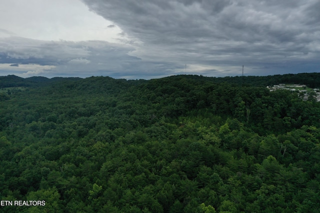 220 Milldale Rd, Dandridge, TN 37725