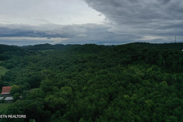 220 Milldale Rd, Dandridge, TN 37725