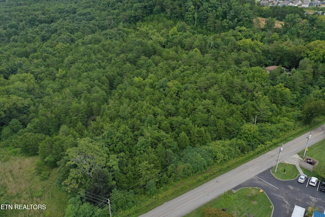 220 Milldale Rd, Dandridge, TN 37725