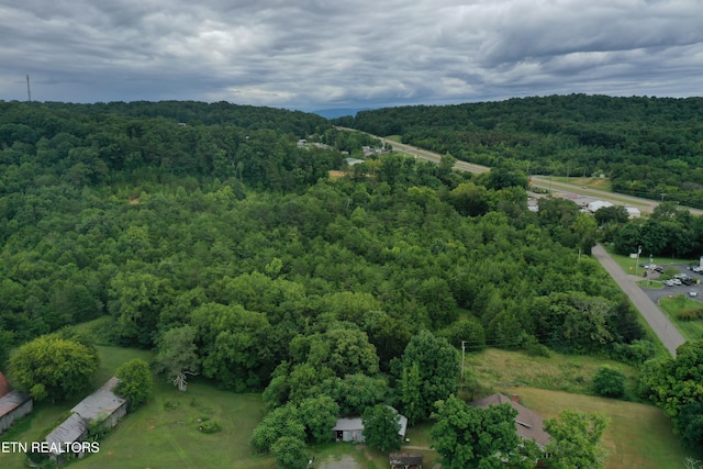 220 Milldale Rd, Dandridge, TN 37725