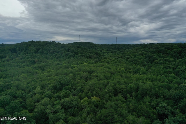 220 Milldale Rd, Dandridge, TN 37725