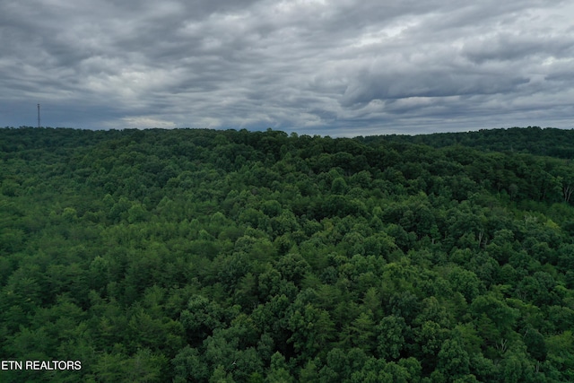 220 Milldale Rd, Dandridge, TN 37725