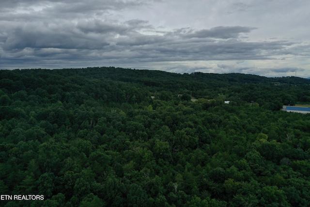 220 Milldale Rd, Dandridge, TN 37725