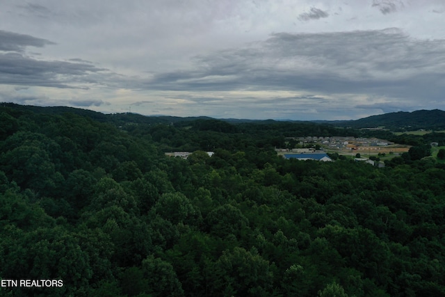220 Milldale Rd, Dandridge, TN 37725