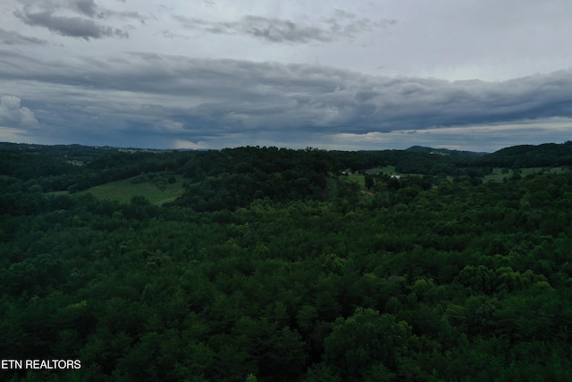 220 Milldale Rd, Dandridge, TN 37725