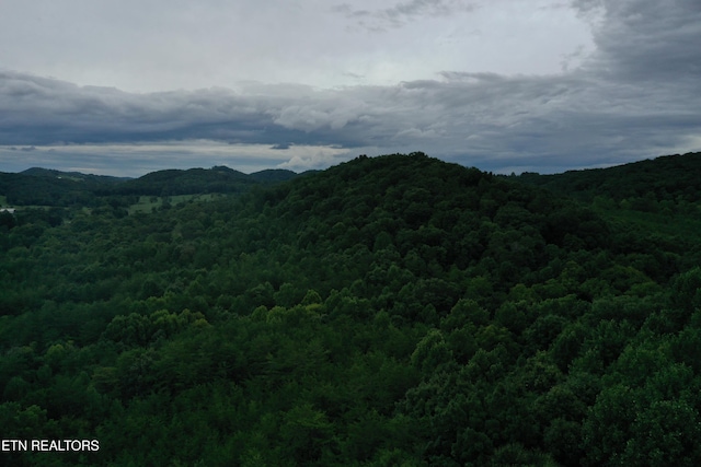 220 Milldale Rd, Dandridge, TN 37725