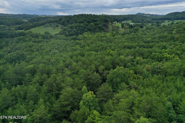 220 Milldale Rd, Dandridge, TN 37725