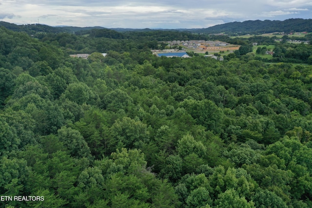 220 Milldale Rd, Dandridge, TN 37725
