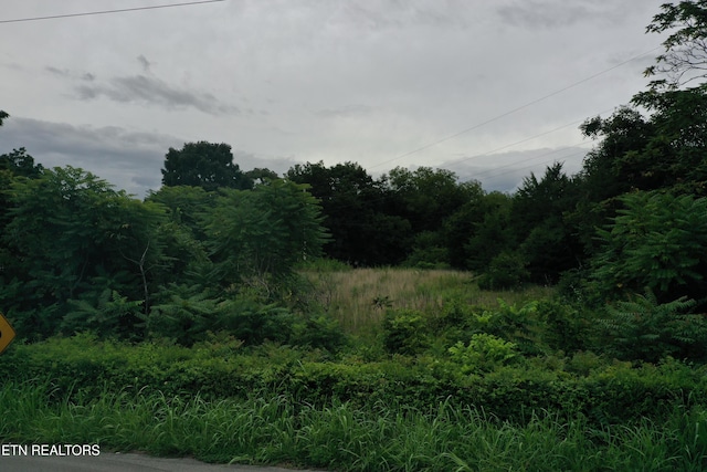 220 Milldale Rd, Dandridge, TN 37725