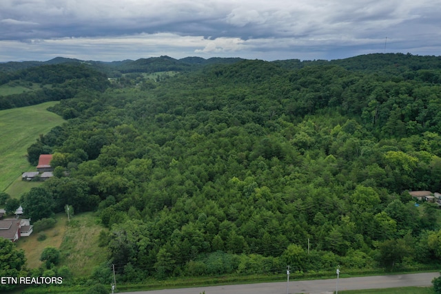 220 Milldale Rd, Dandridge, TN 37725