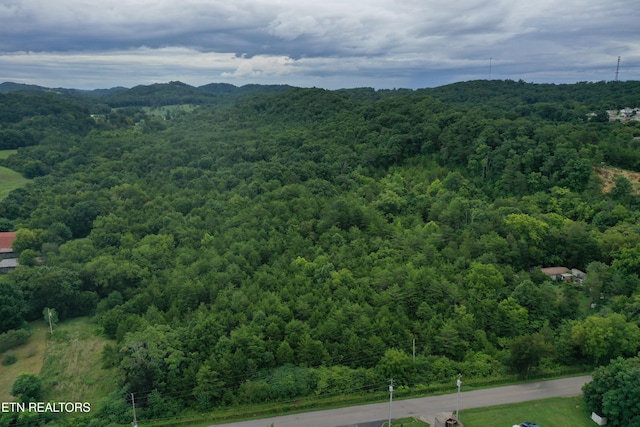 220 Milldale Rd, Dandridge, TN 37725