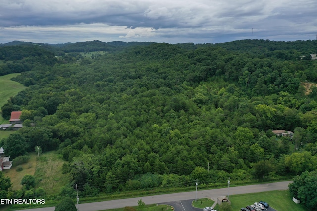 220 Milldale Rd, Dandridge, TN 37725