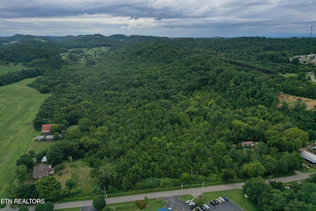 220 Milldale Rd, Dandridge, TN 37725