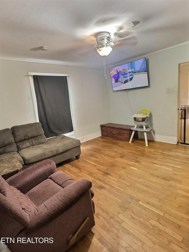 316 Oglewood Ave, Knoxville, TN 37917 - photo 6