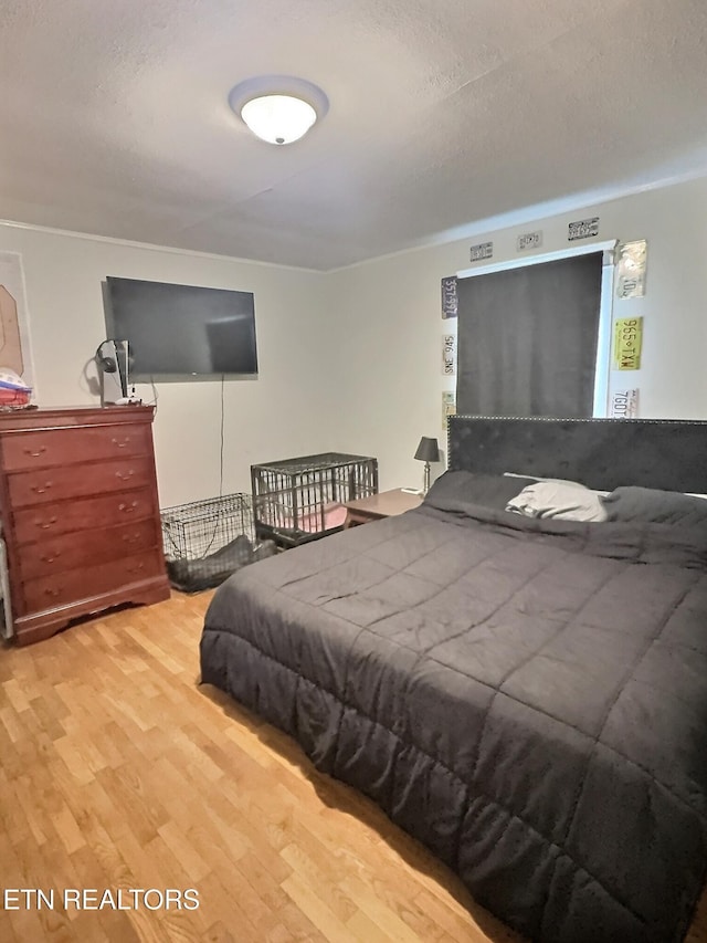 316 Oglewood Ave, Knoxville, TN 37917 - photo 7
