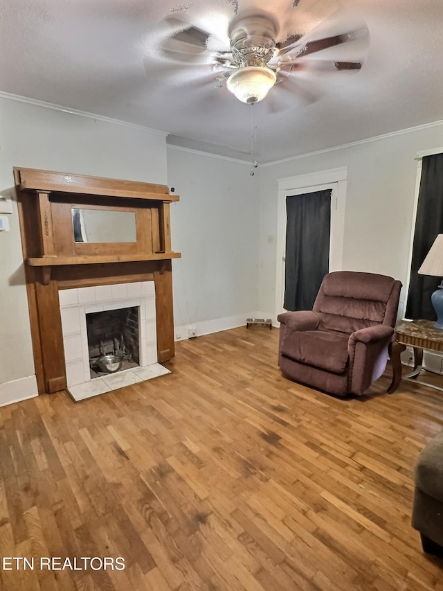 316 Oglewood Ave, Knoxville, TN 37917 - photo 4