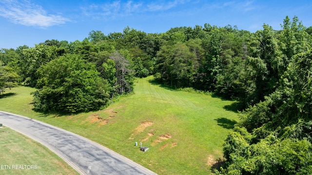 45R Thunder Ridge Dr, Vonore, TN 37885 - photo 3