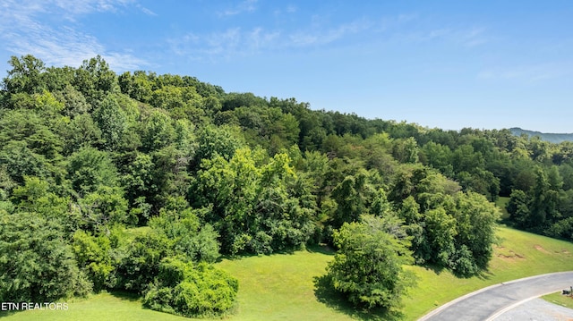 45R Thunder Ridge Dr, Vonore, TN 37885 - photo 5