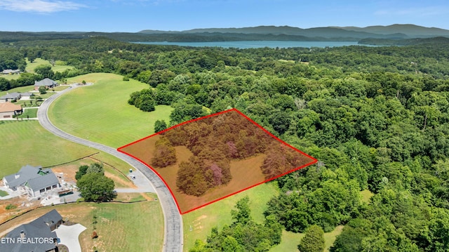 45R Thunder Ridge Dr, Vonore, TN 37885 - photo 1