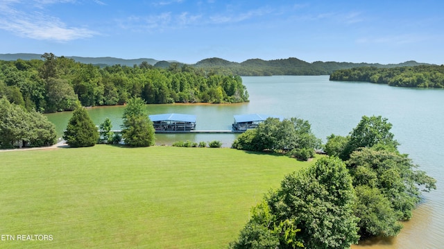 45R Thunder Ridge Dr, Vonore, TN 37885 - photo 18