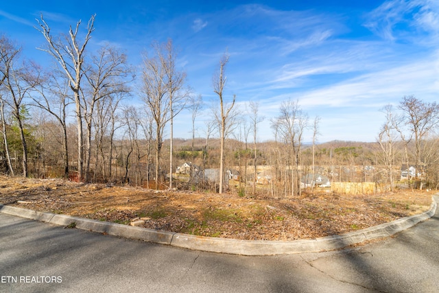 200 Windswept Dr, Lenoir City, TN 37772 - photo 2