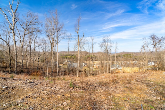 200 Windswept Dr, Lenoir City, TN 37772 - photo 3