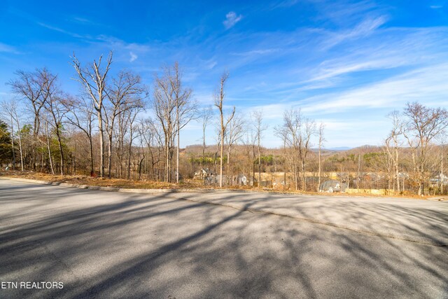 200 Windswept Dr, Lenoir City, TN 37772 - photo 4