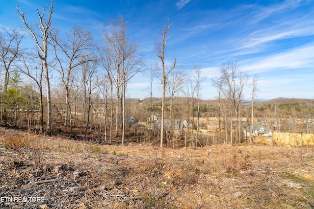 200 Windswept Dr, Lenoir City, TN 37772 - photo 5