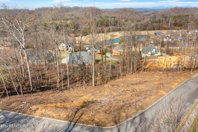 200 Windswept Dr, Lenoir City, TN 37772 - photo 8