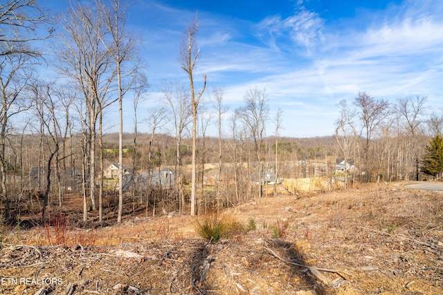 200 Windswept Dr, Lenoir City, TN 37772 - photo 21
