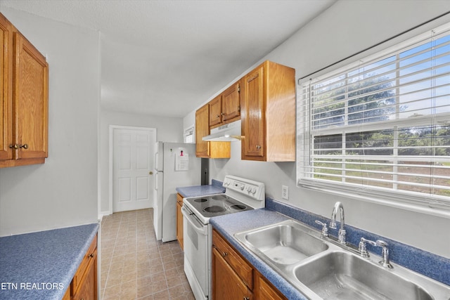 710 E Fir St, Lafollette, TN 37766 - kitchen featuring white appliances, under cabinet range hood, and brown cabinets