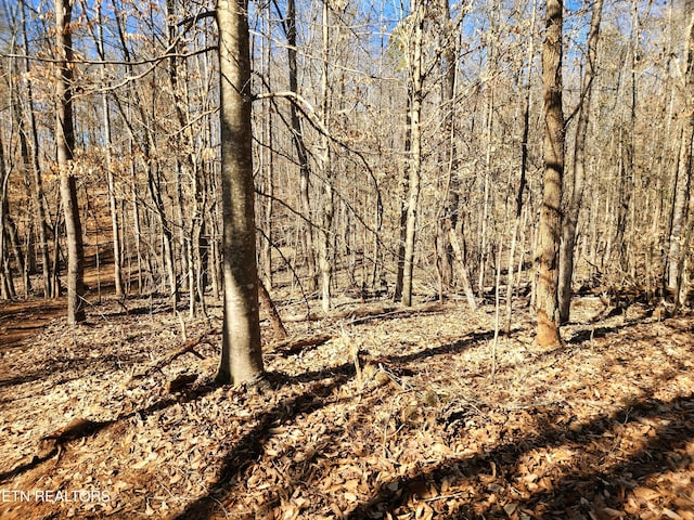 128 Hart Orchard Rd, Kingston, TN 37763 - photo 12