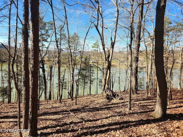 128 Hart Orchard Rd, Kingston, TN 37763 - photo 15