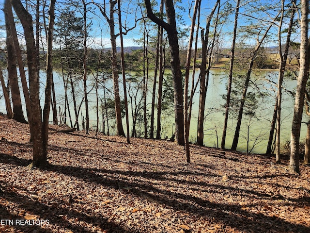 128 Hart Orchard Rd, Kingston, TN 37763 - photo 17