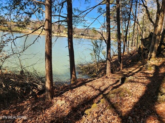 128 Hart Orchard Rd, Kingston, TN 37763 - photo 3