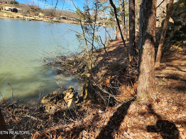 128 Hart Orchard Rd, Kingston, TN 37763 - photo 2