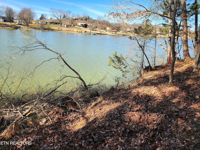 128 Hart Orchard Rd, Kingston, TN 37763 - photo 22
