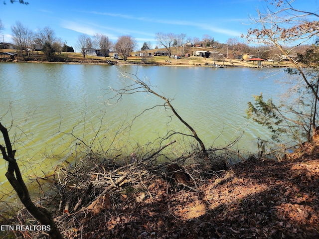 128 Hart Orchard Rd, Kingston, TN 37763 - photo 23