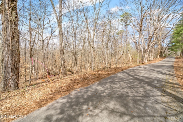 128 Hart Orchard Rd, Kingston, TN 37763 - photo 29