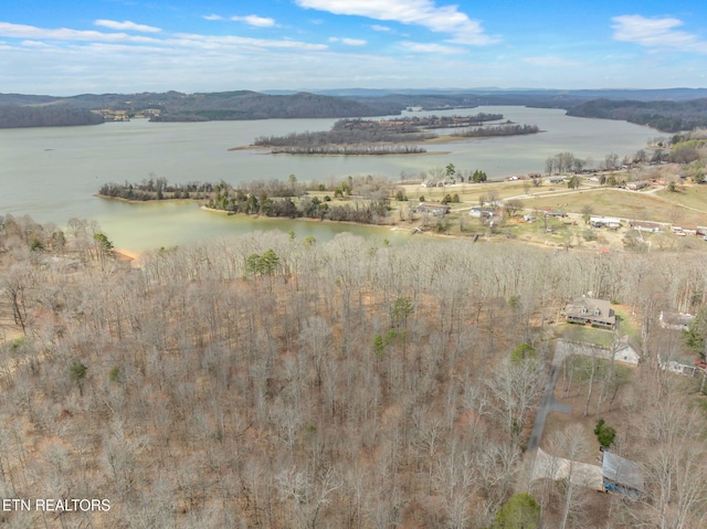 128 Hart Orchard Rd, Kingston, TN 37763 - photo 31