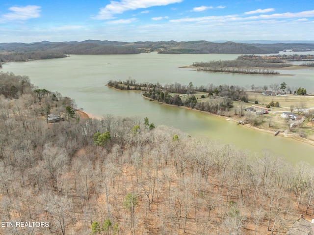 128 Hart Orchard Rd, Kingston, TN 37763 - photo 32
