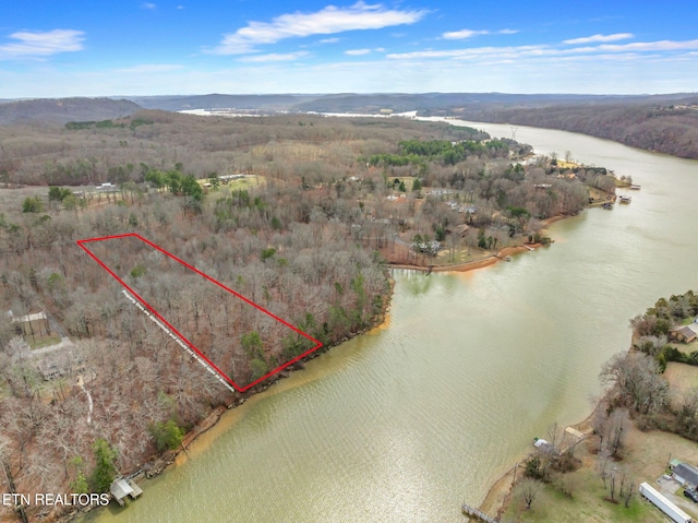 128 Hart Orchard Rd, Kingston, TN 37763 - photo 34