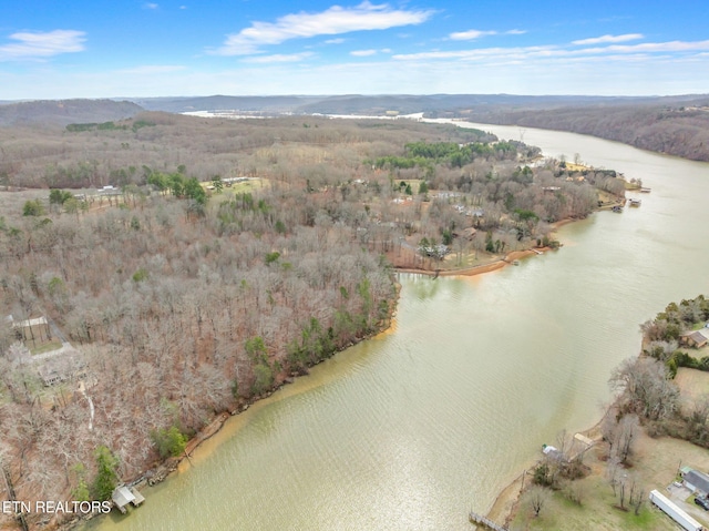 128 Hart Orchard Rd, Kingston, TN 37763 - photo 35