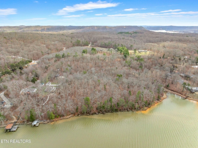 128 Hart Orchard Rd, Kingston, TN 37763 - photo 36